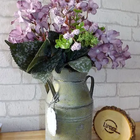 Casa de hóspedes The Windmill